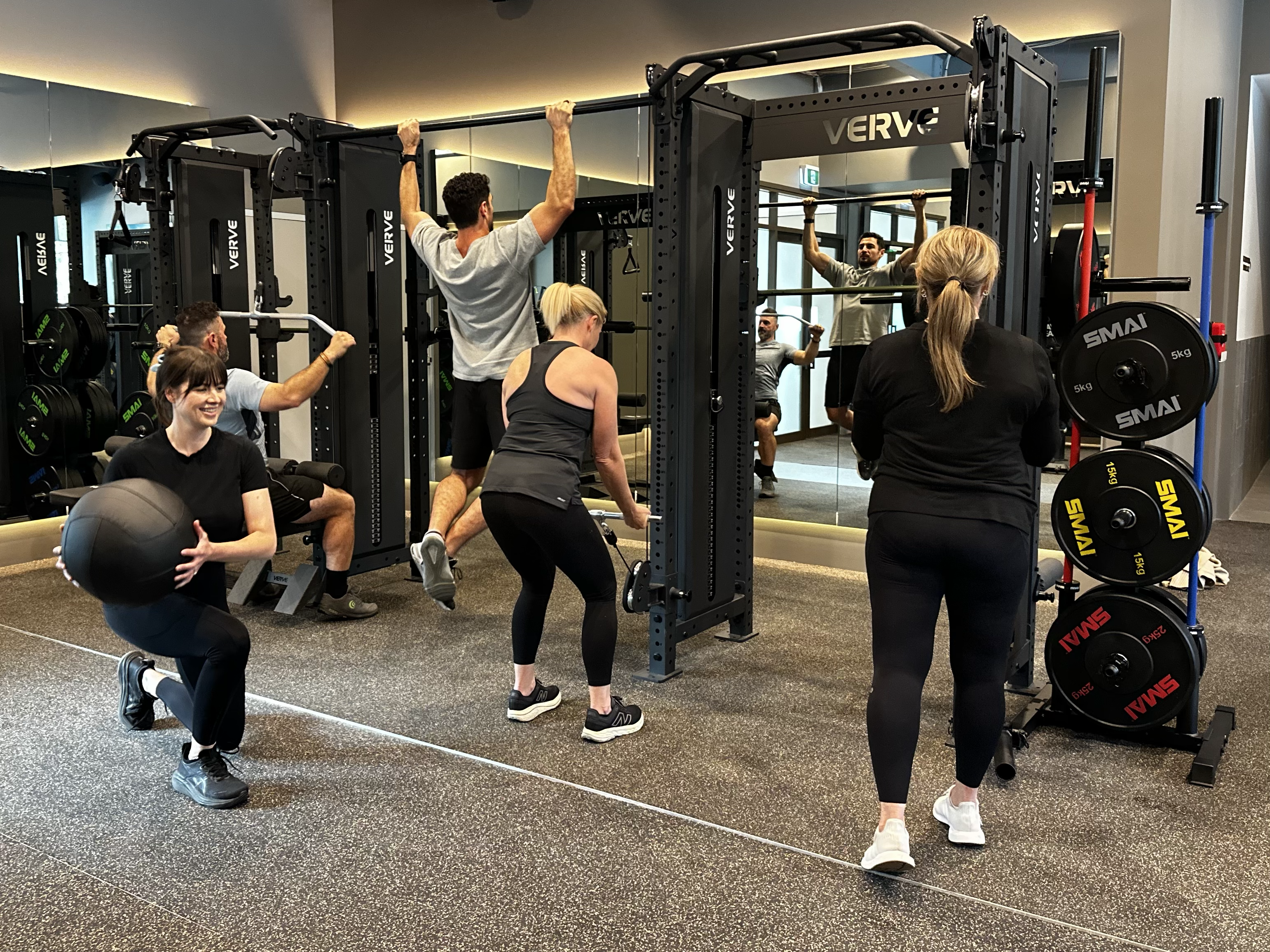 Verve strength rig